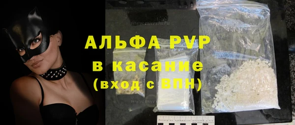 гашик Гусь-Хрустальный