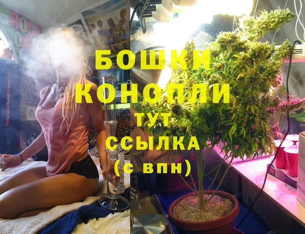 спайс Гусиноозёрск