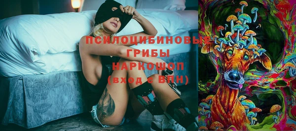 гашик Гусь-Хрустальный