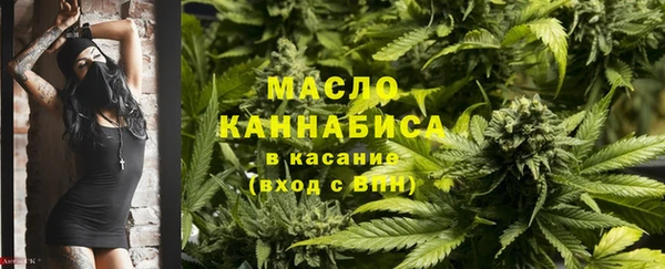 скорость Гусев