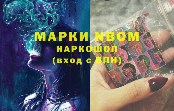 гашик Гусь-Хрустальный