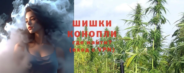 скорость Гусев