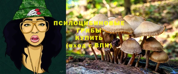 гашик Гусь-Хрустальный