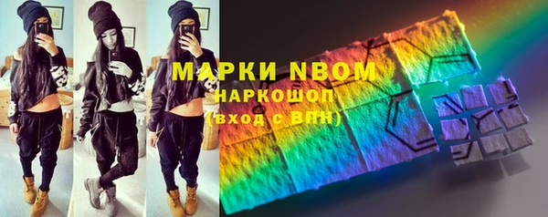 прущие грибы Горняк