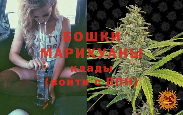 скорость Гусев