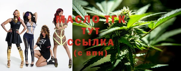 скорость Гусев