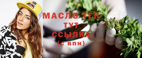 гашик Гусь-Хрустальный