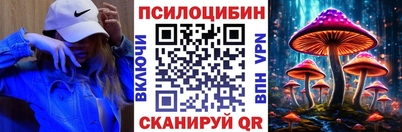 кракен онион  купить   Кисловодск  shop состав  Галлюциногенные грибы Psilocybe 